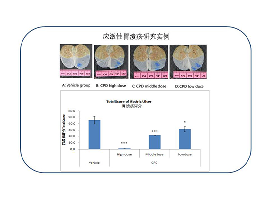 BG大游·(集团)视讯官方网站
