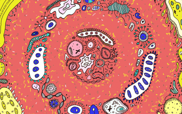 BG大游·(集团)视讯官方网站