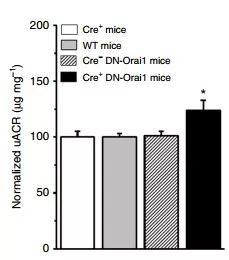 BG大游·(集团)视讯官方网站
