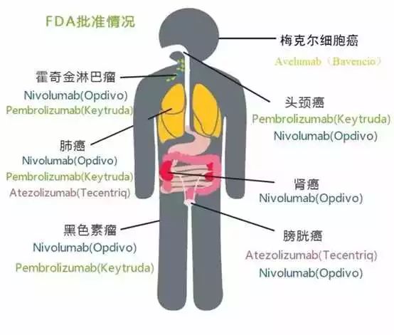 BG大游·(集团)视讯官方网站
