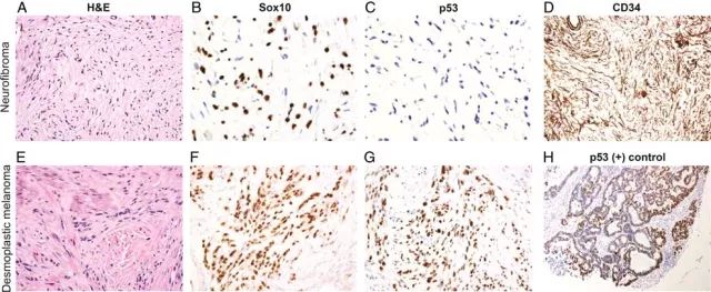 BG大游·(集团)视讯官方网站