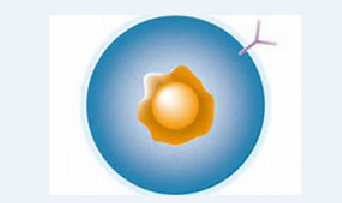 BG大游·(集团)视讯官方网站