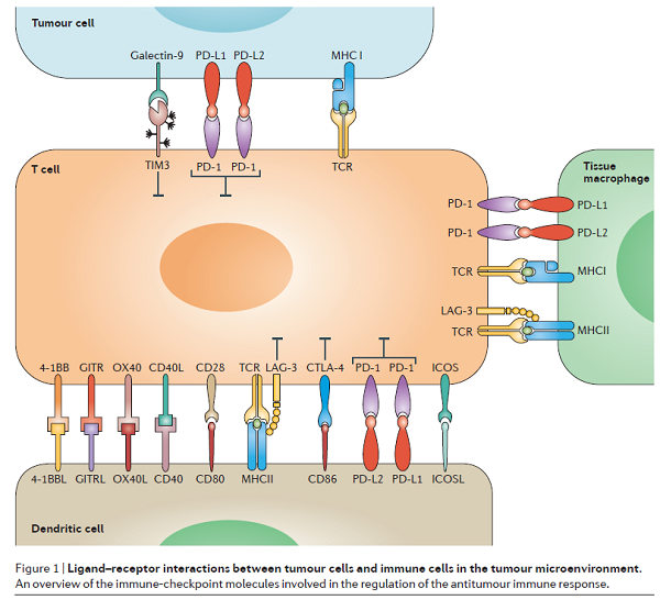 BG大游·(集团)视讯官方网站
