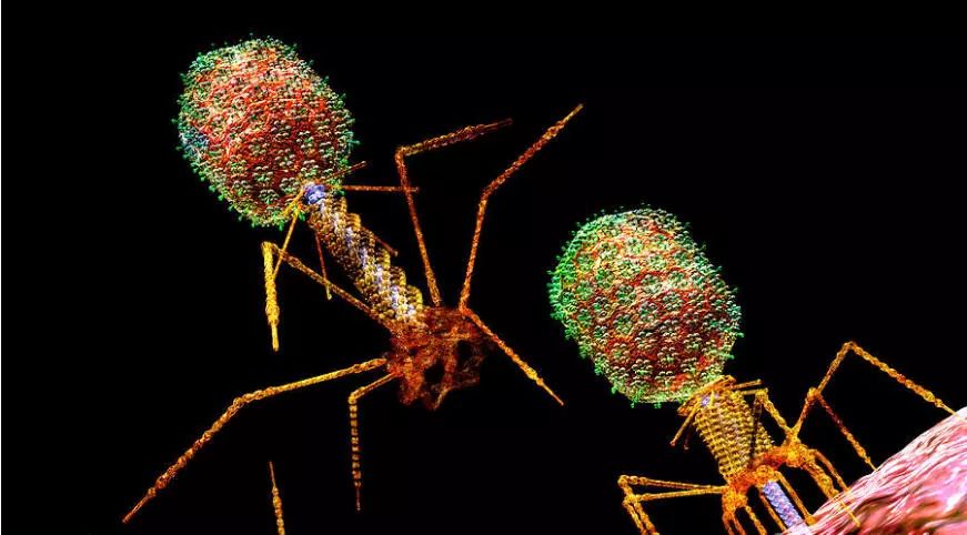 BG大游·(集团)视讯官方网站