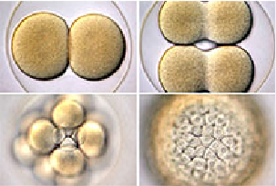BG大游·(集团)视讯官方网站