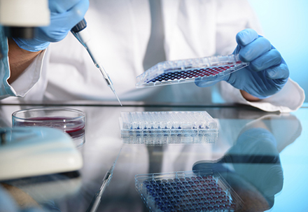 289目录海内特有品种一致性评价抱团才有戏？？？？？？