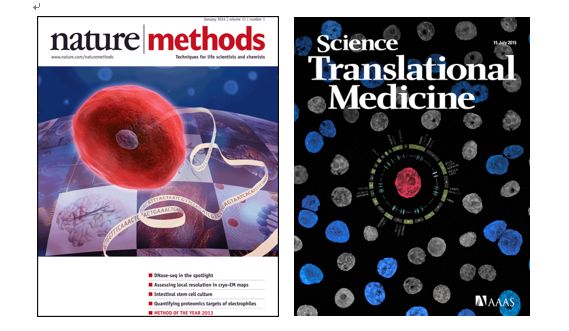 BG大游·(集团)视讯官方网站