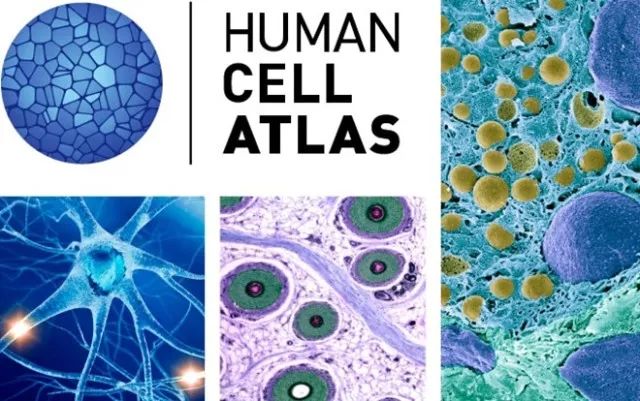 BG大游·(集团)视讯官方网站