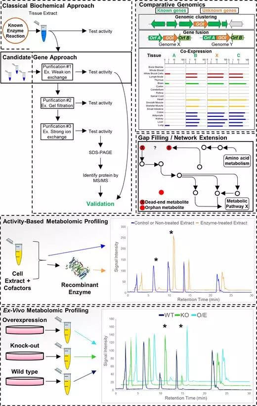 BG大游·(集团)视讯官方网站