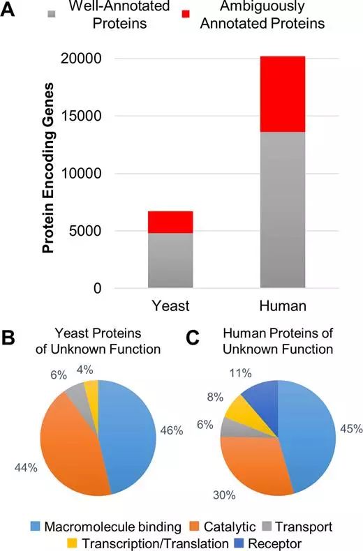 BG大游·(集团)视讯官方网站