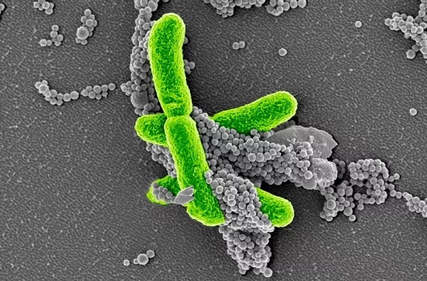 BG大游·(集团)视讯官方网站