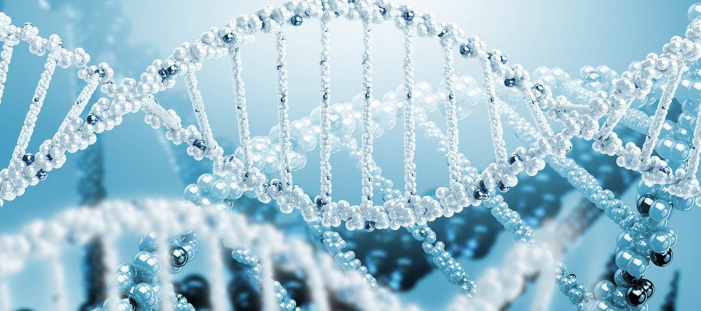 浅谈BG大游抗体药物PK剖析要领学设计的思量要点