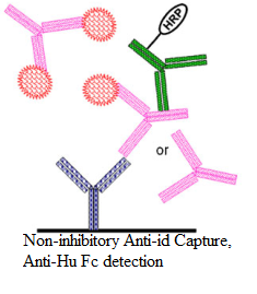 BG大游·(集团)视讯官方网站