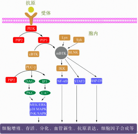 BG大游·(集团)视讯官方网站