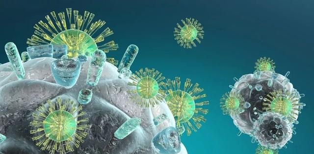 BG大游·(集团)视讯官方网站