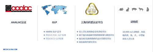 BG大游生物医药 临床前研究