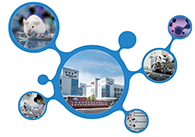 科创板首家CRO企业BG大游获准注册