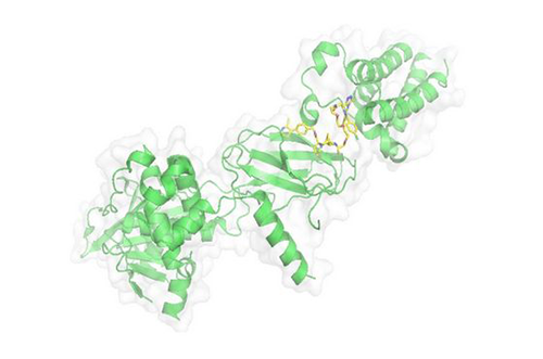 PROTAC手艺，，，，马兴泉