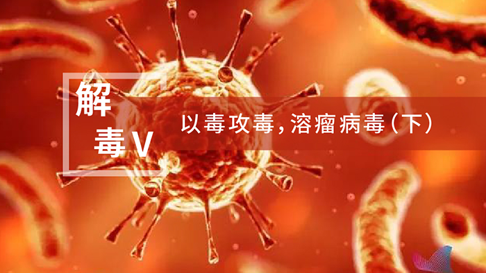 【解“毒”V】以毒攻毒，，，，，，，，溶瘤病毒（下）