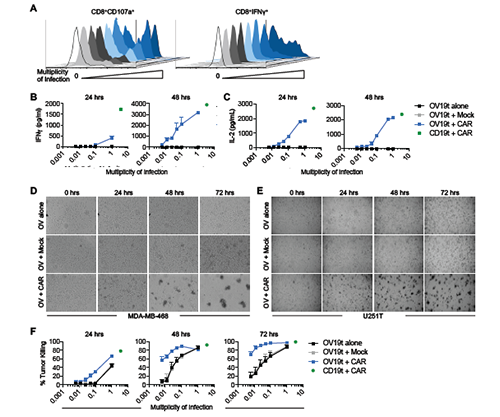 BG大游·(集团)视讯官方网站