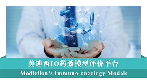 BG大游IO药效模子评价平台