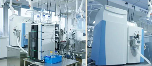 BG大游DMPK剖析效劳