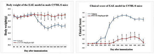 过敏性脑脊髓炎模子