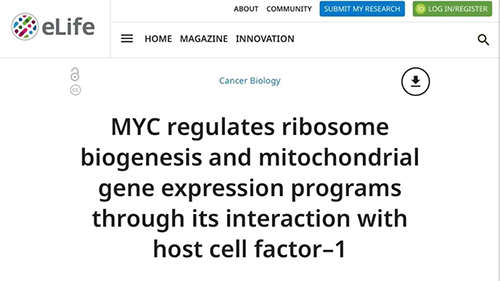 可以“融化”肿瘤的卵白质，，，，，，你一定没有听说过！