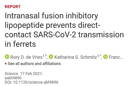 Science速递|鼻喷雾剂可阻止新冠肺炎撒播，，，，在雪貂实验中已初获效果