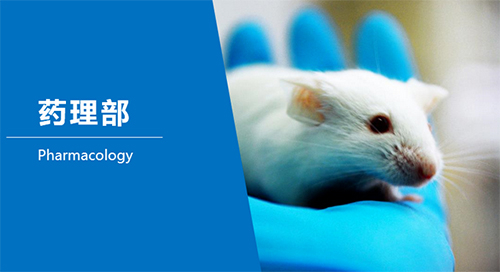 BG大游临床前研究-药理部