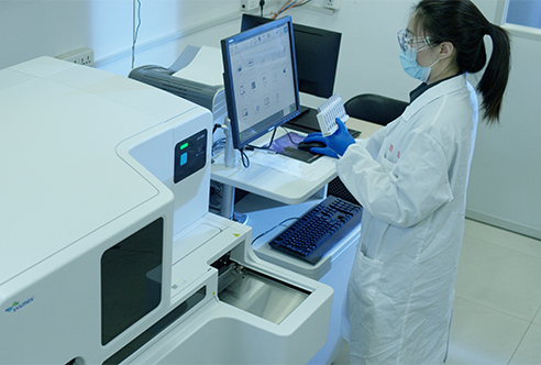 BG大游一体化DMPK效劳为药物研发保驾护航