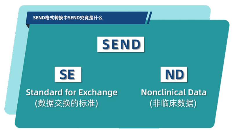 SEND名堂转换中的SEND事实是什么.jpg