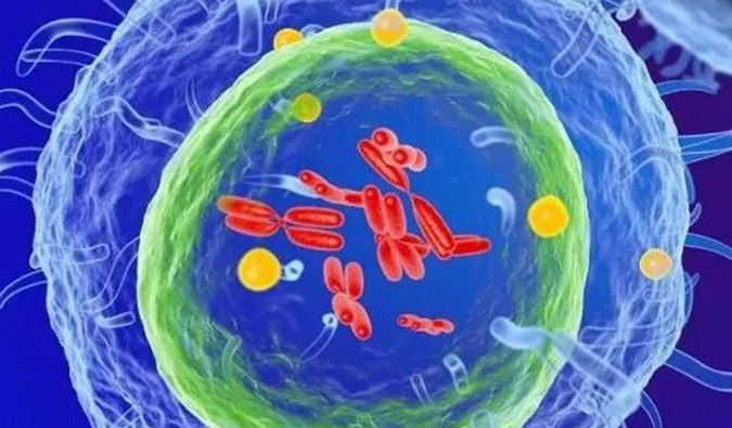  BG大游助力 | 信诺维抗肿瘤1类新药XNW14010获批临床.png