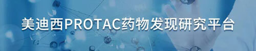 BG大游protac药物发明研究平台.jpg