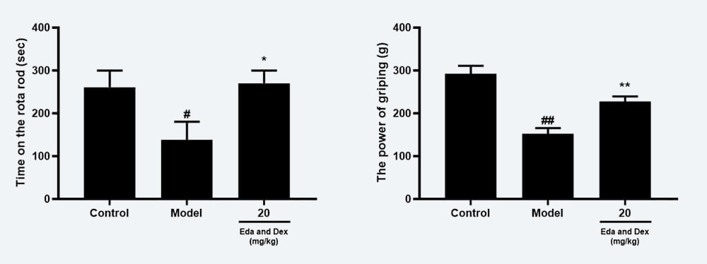 神经功效药效学考察：C 转棒滞留时间；；；D 抓握力（mean±SEM）.jpg