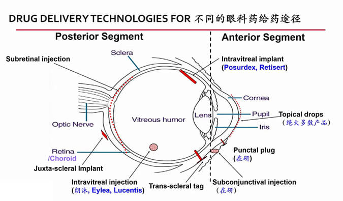 【内附回放+下半场预约】BG大游眼科药物专题钻研会上半场精彩回首