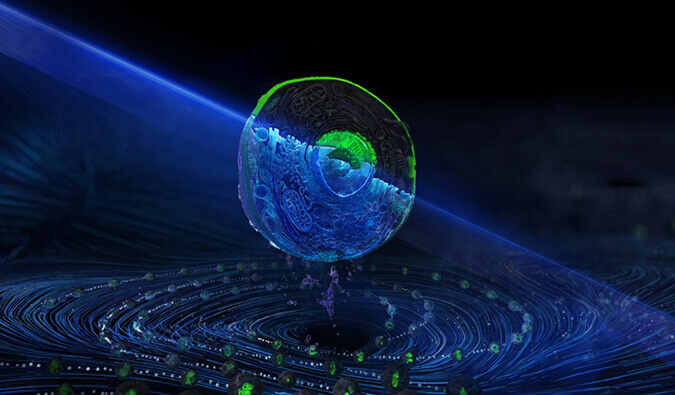 BG大游流式细胞分选效劳平台