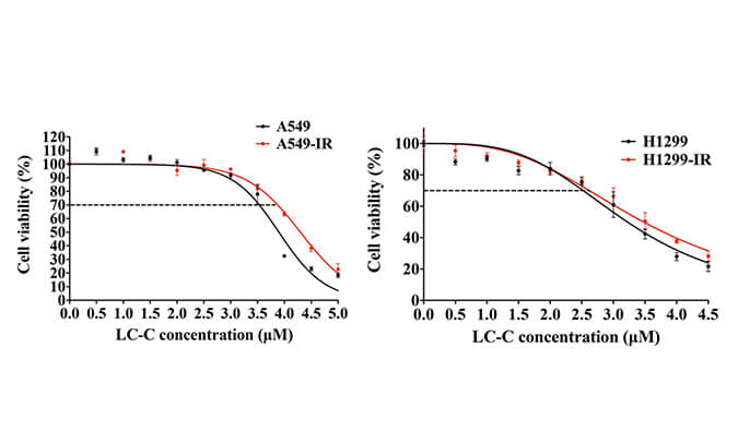 放射疗法用作肺癌的主要治疗要领，，，在次研究中建设抗电离辐射肺癌细胞系的放射治疗通过BG大游举行