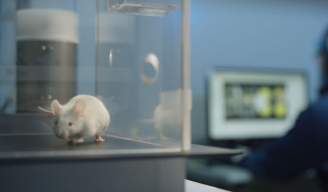 BG大游助力开悦生命针对RNA解旋酶的小分子新药获FDA临床实验允许（IND)