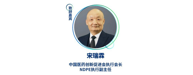 宋瑞霖--中国医药立异增进会执行会长、NDPE执行副主任.jpg