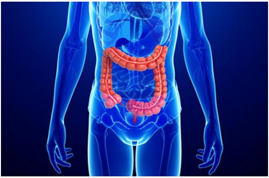 BG大游一站式助力 | 宝太生物首其中美双报立异药获批