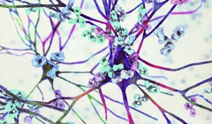 BG大游镇痛药效评价模子