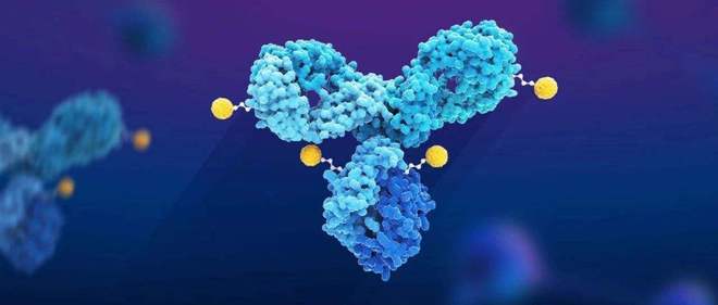 天下肿瘤日聚焦：AACR年会引领全球肿瘤新药趋势，，，，，国产药引领风潮