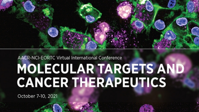 通过联合治疗提高免疫疗法疗效，，，，，，，，本研究中临床前体内药效研究通过BG大游举行