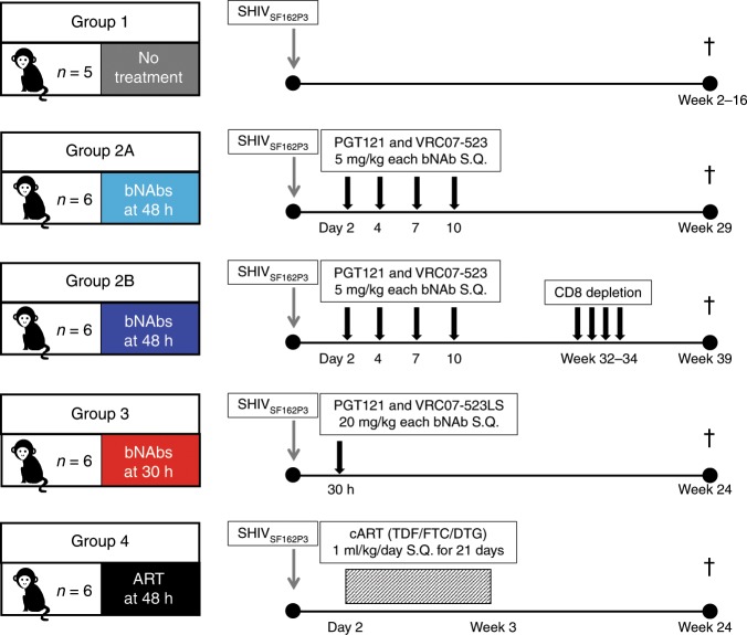抗逆转录病毒疗法(ART)预防围产期HIV熏染，，，，，本研究中多替拉韦钠盐和游离态均由BG大游提供