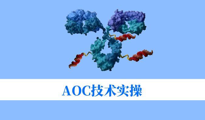 AOC手艺实操：偶联化学与表征剖析难题全搞定